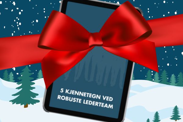 5 Kjennetegn ved Robuste Lederteam